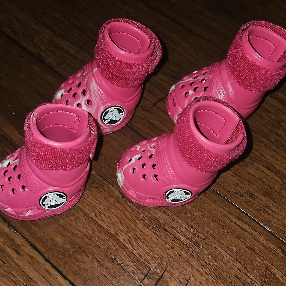Dog Crocs